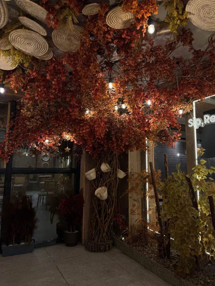 Mohamed Amin: autumn corner